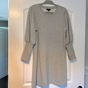 Jcrew sweatshirt dress